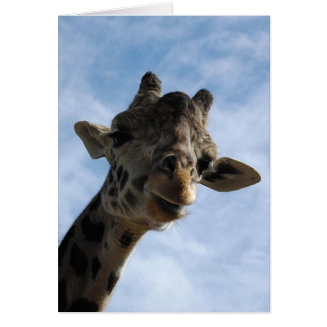 Cartão Aqui está olhando para você! (Frente)