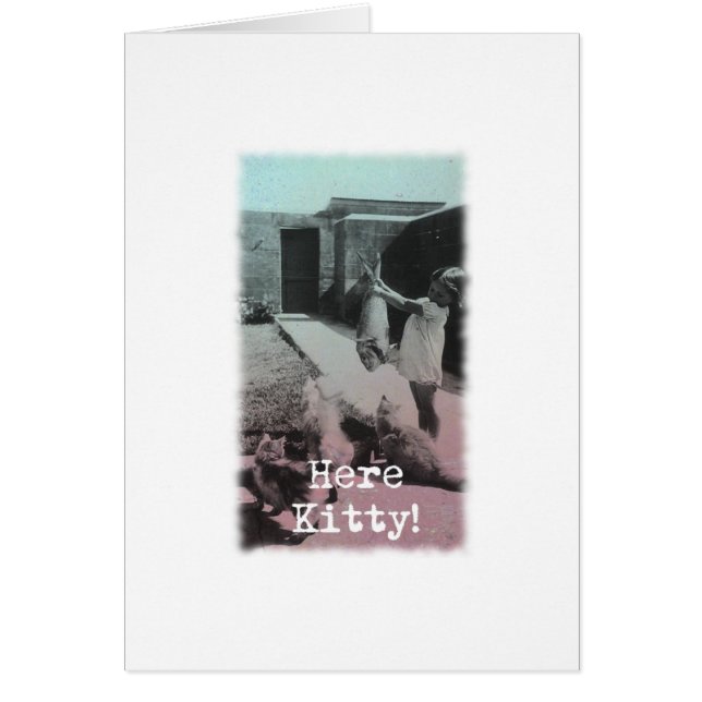 Cartão Aqui Gatinho! (Frente)