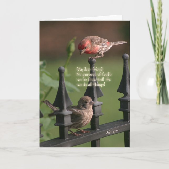 Cartão Aqui para você (Frente)