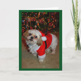 Cartão Aqui Vem o Santa Paws!