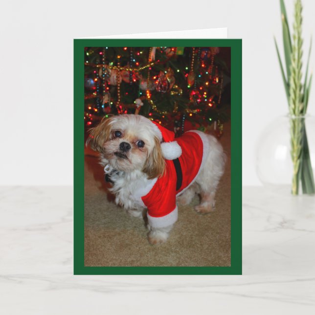 Cartão Aqui Vem o Santa Paws! (Frente)