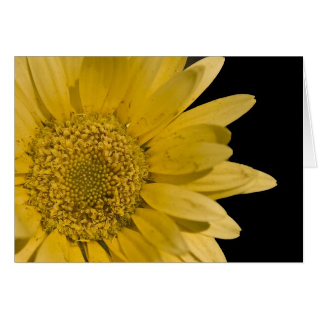 Cartão aqui vem o sol (Frente Horizontal)