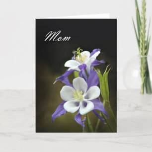 Cartão aquilégia do dia das mães