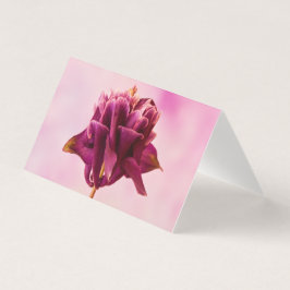 Cartão Aquilégia Rosa Borgonha