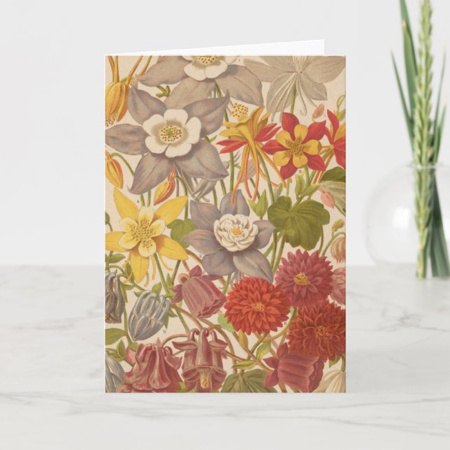 Cartão Aquílio | George Nicholson (Frente)