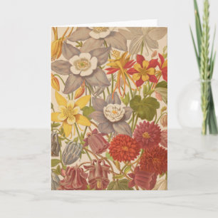 Cartão Aquílio   George Nicholson