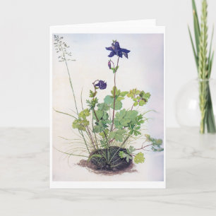 Cartão Aquílio vulgaris Flower, Albrecht Durer