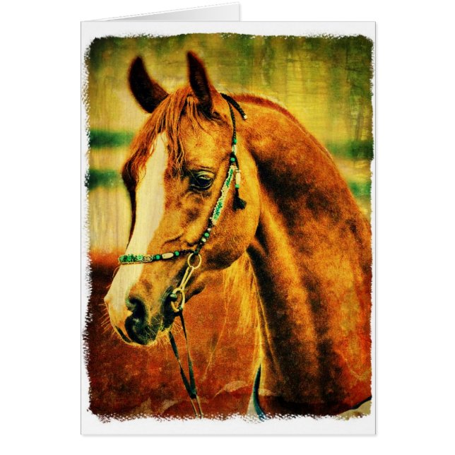 Cartão Árabe bonito (Frente)