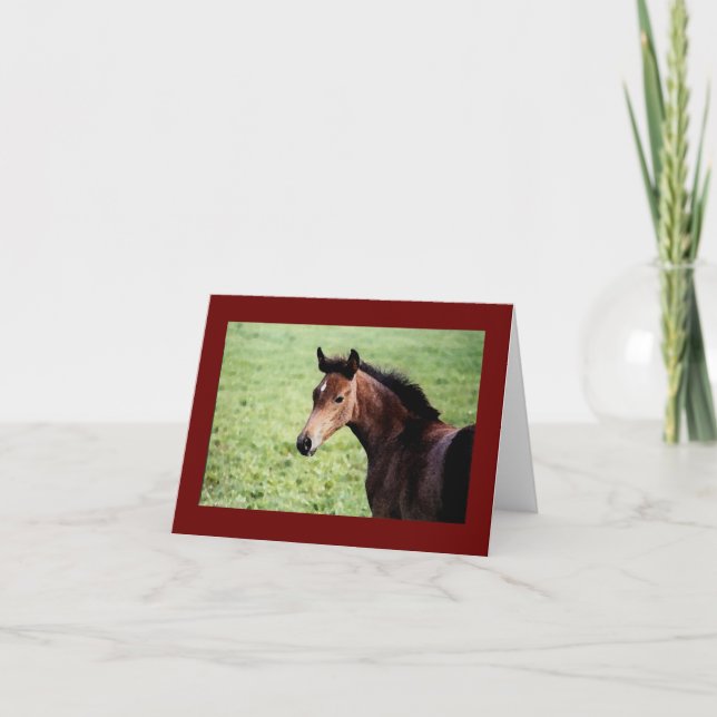 Cartão Arabian foal note card (Frente)