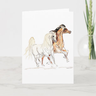 Cartão Arabian Horse Greeting Card