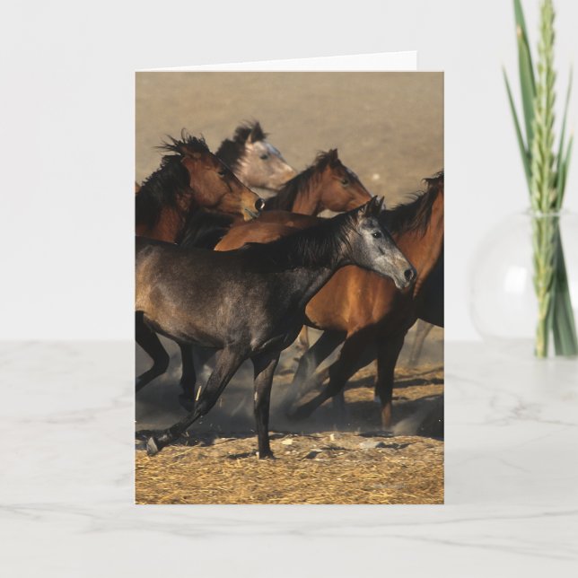 Cartão Arabs Running in the Desert (Frente)