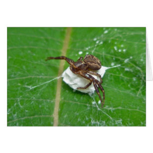 Cartão Aranha-Caranguejo em Itens de Coordenação de Mil