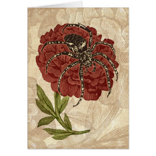 Cartão Aranha Na Flor