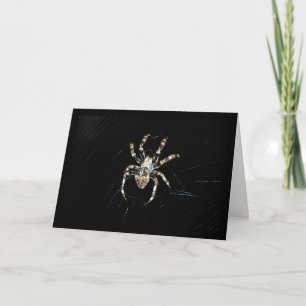 Cartão Aranha Tecelã