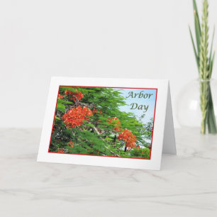 Cartão Arbor Day Card Red Flame Tree