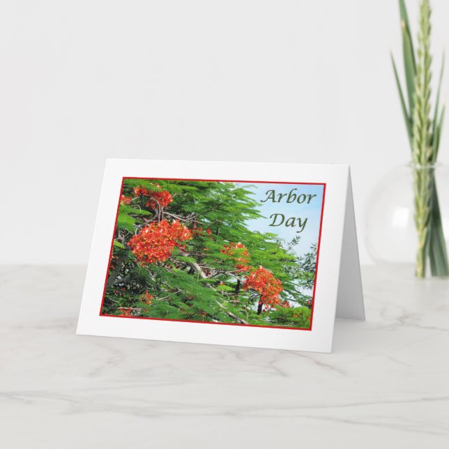 Cartão Arbor Day Card Red Flame Tree (Frente)