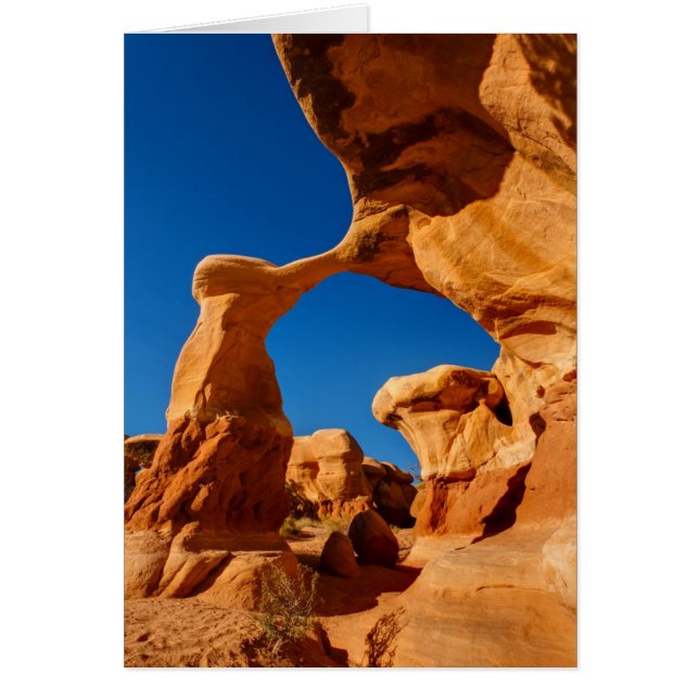 Cartão Arca Metálica (Frente)