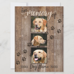 Cartão Arco-Íris De Madeira Com Memorial De Cão