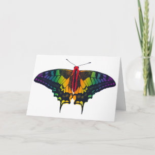 Cartão Arco-Íris Sinalizador Swallowtail Borboleta