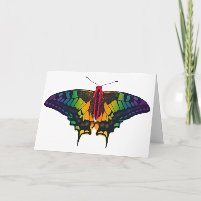 Cartão Arco-Íris Sinalizador Swallowtail Borboleta (Frente)