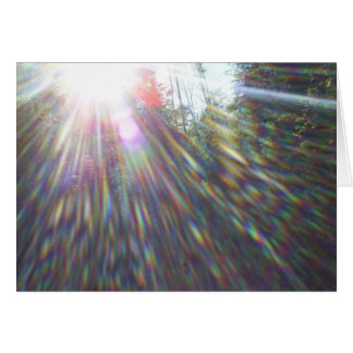 Cartão Arcos-da-chuva em árvores