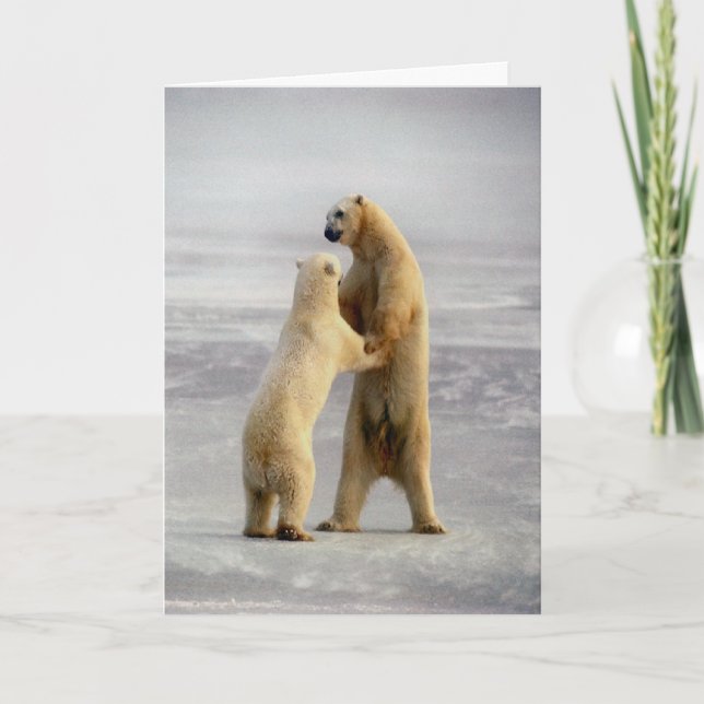 Cartão Arctic Waltz (Frente)