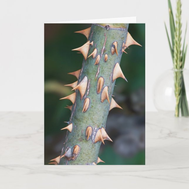 Cartão Are You Ready? (Frente)