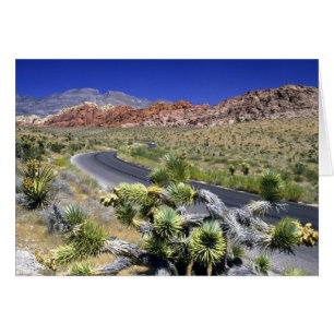 Cartão Área de Conservação Nacional Red Rock Canyon, Las