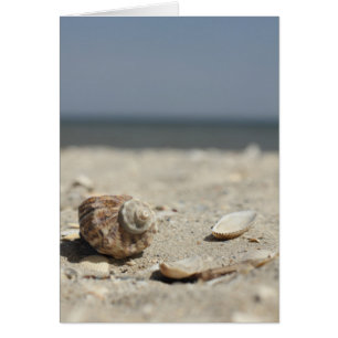 Cartão Areia Areia Pelo Mar