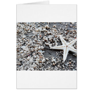 Cartão Areia de praia de Cinza de Starfish Náutico Costei