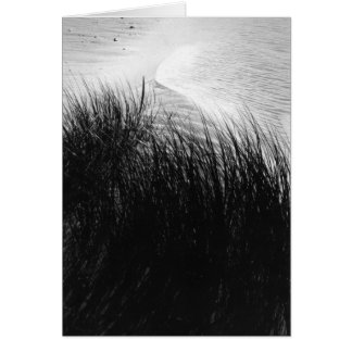 Cartão Areia de praia e areia