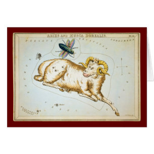 Cartão Aries e Musca Borealis