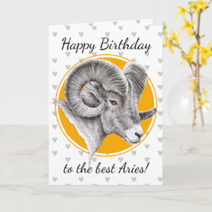 Cartão Aries Zodíaco sinal Bighorn Ram Animal art Aniver