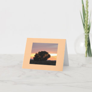 Cartão Arizona Painted Desert Sunset Photo Note Cards