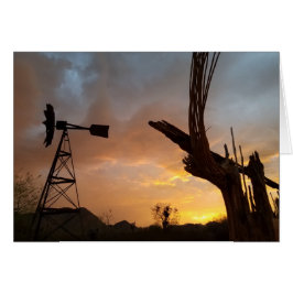 Cartão Arizona Sunset Windmill Saguaro Cactus Skeleton