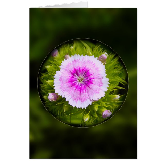 Cartão Armado (Frente)