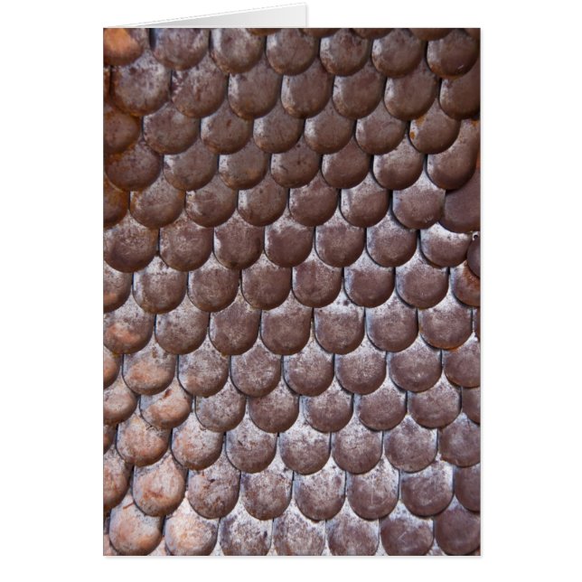 Cartão Armadura antiga (Frente)