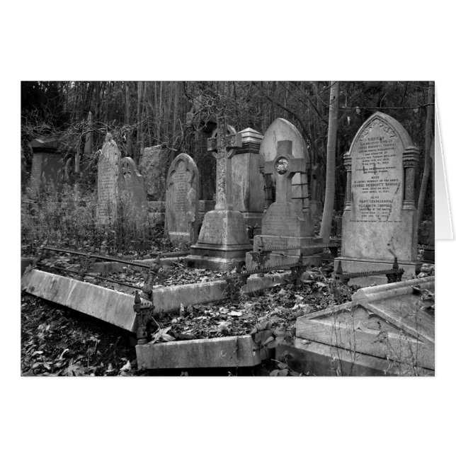 Cartão ArnosVale4 (Frente Horizontal)