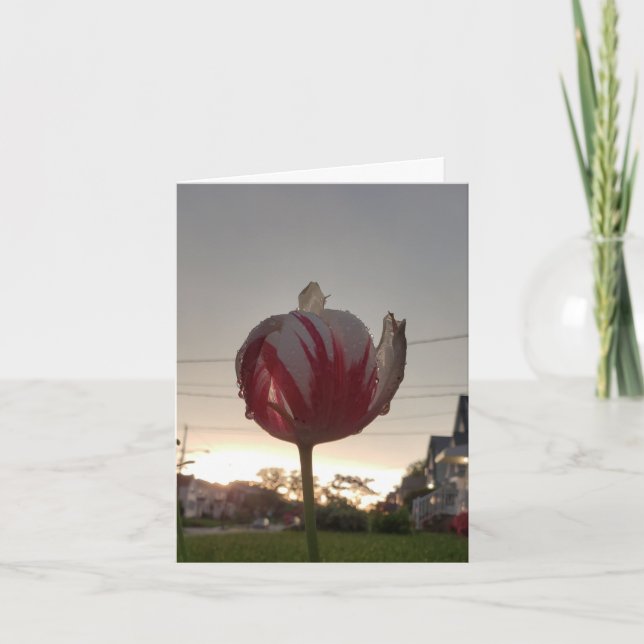 Cartão Arranja Um Trabalho Real, Hippie (Frente)