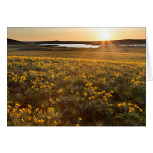 Cartão Arranjo de Flores Silvestres de Balsamroot de Folh