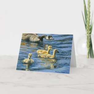 Cartão "Arredondar-Se"