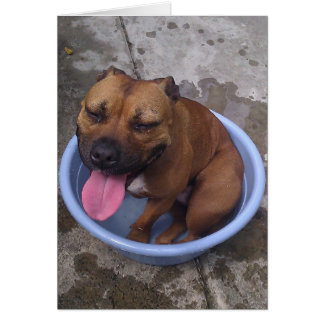 Cartão Arrefecimento em um dia quente!