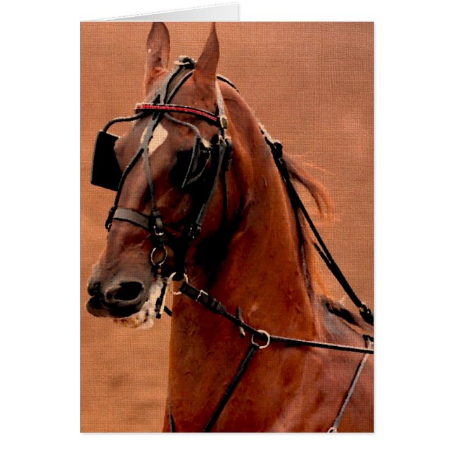 Cartão Arreio de Prazer Saddlebred Arte Digital (Frente)