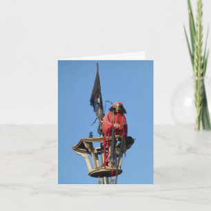 Cartão Arrr matey, Parabéns