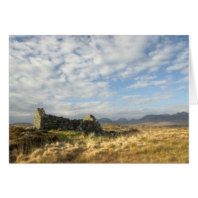 Cartão Arruína irlandesa (Frente Horizontal)