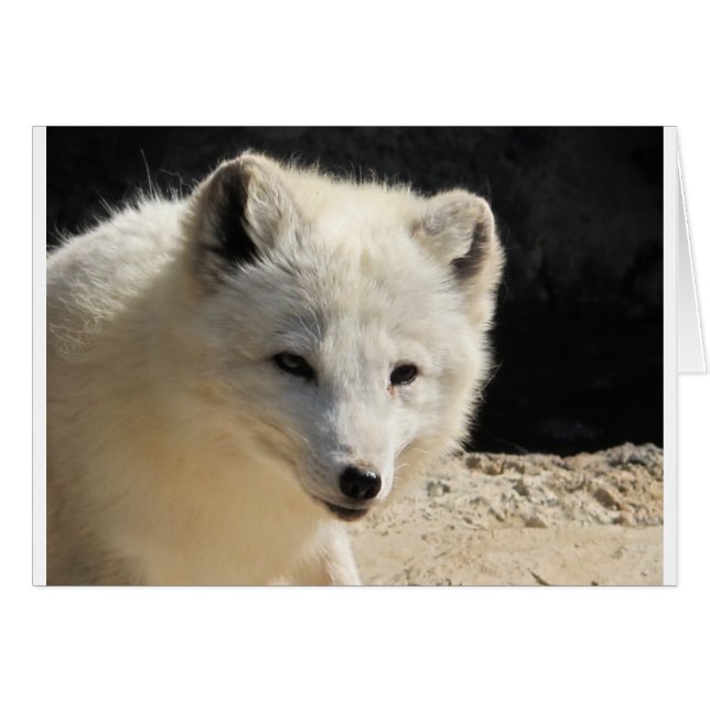 Cartão Arte (Frente Horizontal)