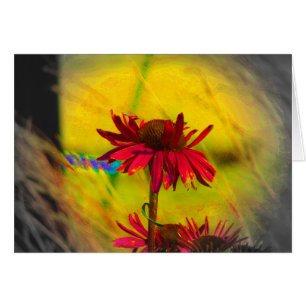 Cartão Arte #2 de Coneflower