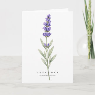 Cartão Arte Botânica de Lavanda Símbolo de Devoção e Calm