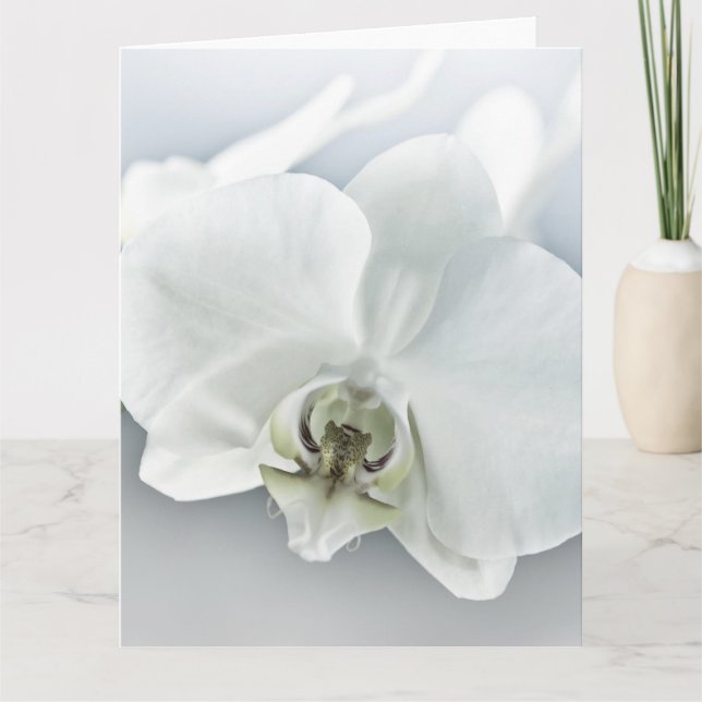 Cartão Arte Botânica de Orquídea Branca Elegante (Frente)