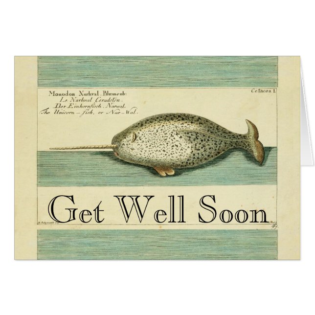 Cartão Arte Científica Narral Antiquada Por Cores De Bale (Frente Horizontal)